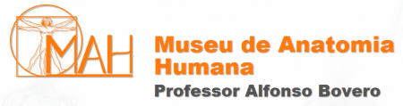 Museu de Anatomia Humana Professor Alfonso Bovero