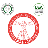 Liga Acadêmica de Anatomia Humana - AM