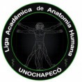 Liga Acadêmica de Anatomia Humana da Universidade Comunitária da Região de Chapecó